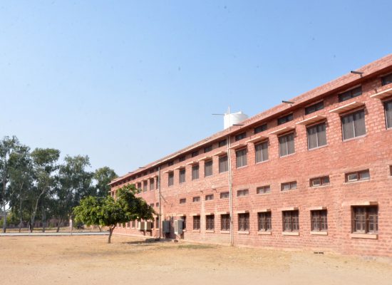 Maharaja Ummed Pre Primary Girls School